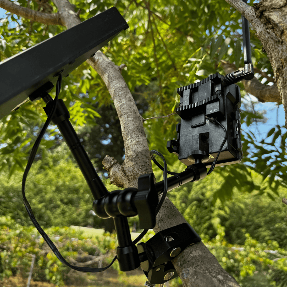 Tri-Claw Trail Camera & Solar Panel Clamp Mount