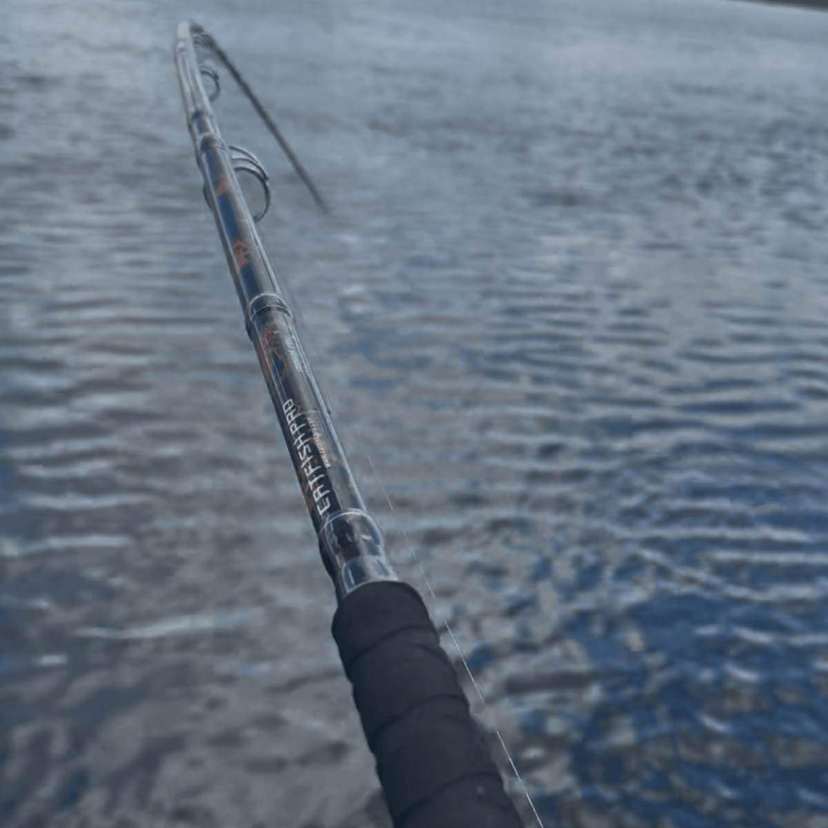 Black Dragon Fire Casting Rod Heavy Duty Fishing Lure Rod